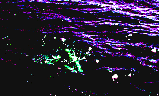 SIX OF THE BEST: BOOKS TO MAKE YOU HOPEFUL AGAIN, by Summer Kendrick