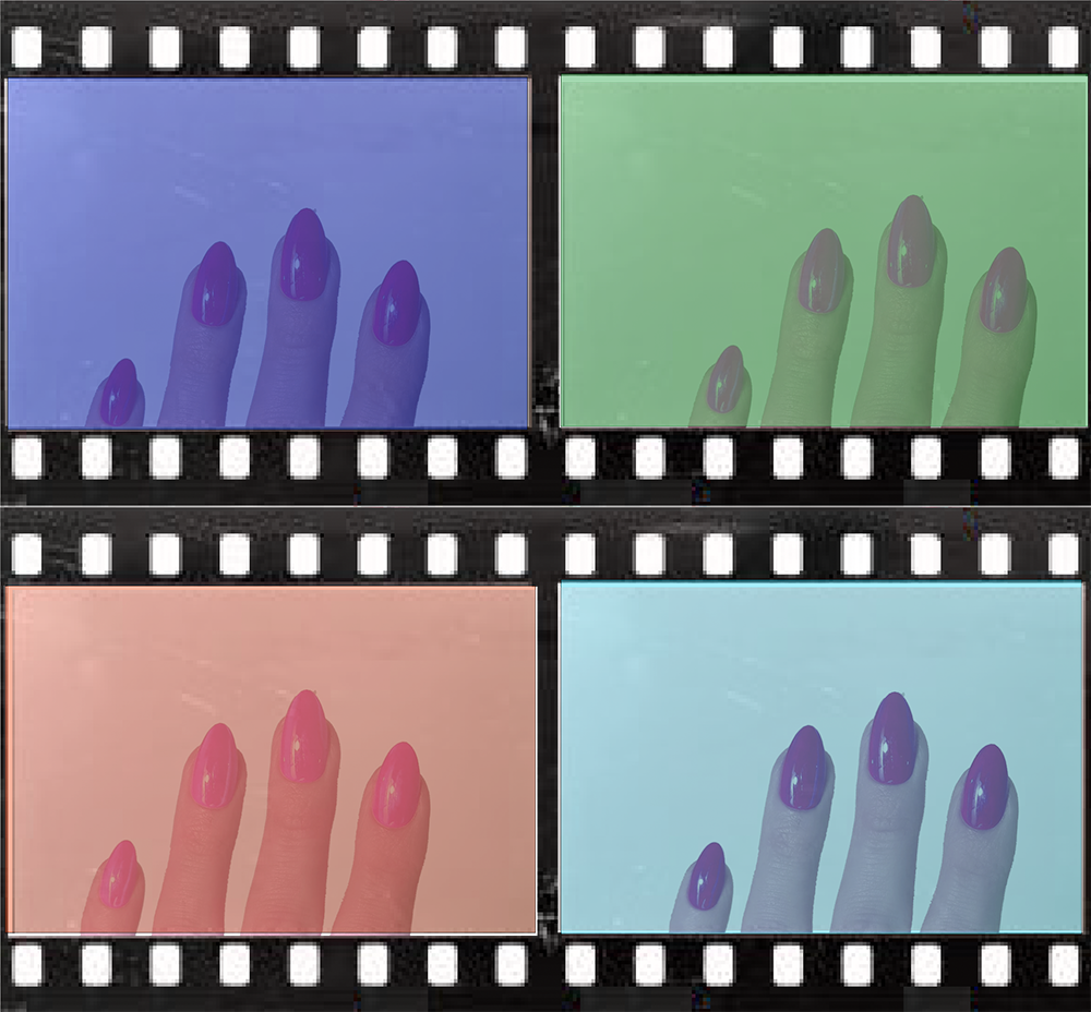 THE HUMAN YEAR, By Zoe CN Smith